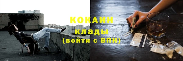 крисы Кодинск