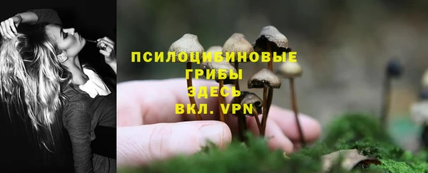 дживик Коряжма