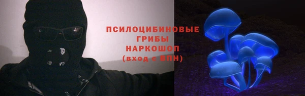 крисы Кодинск