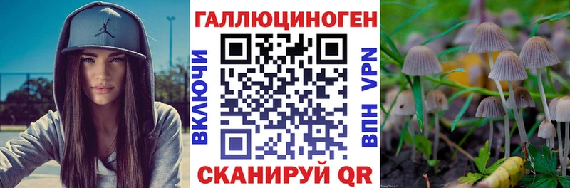 даркнет сайт  Мелеуз  Галлюциногенные грибы прущие грибы 